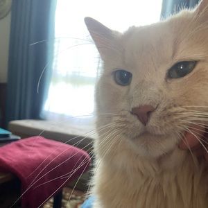 Meet your Posher, Fei